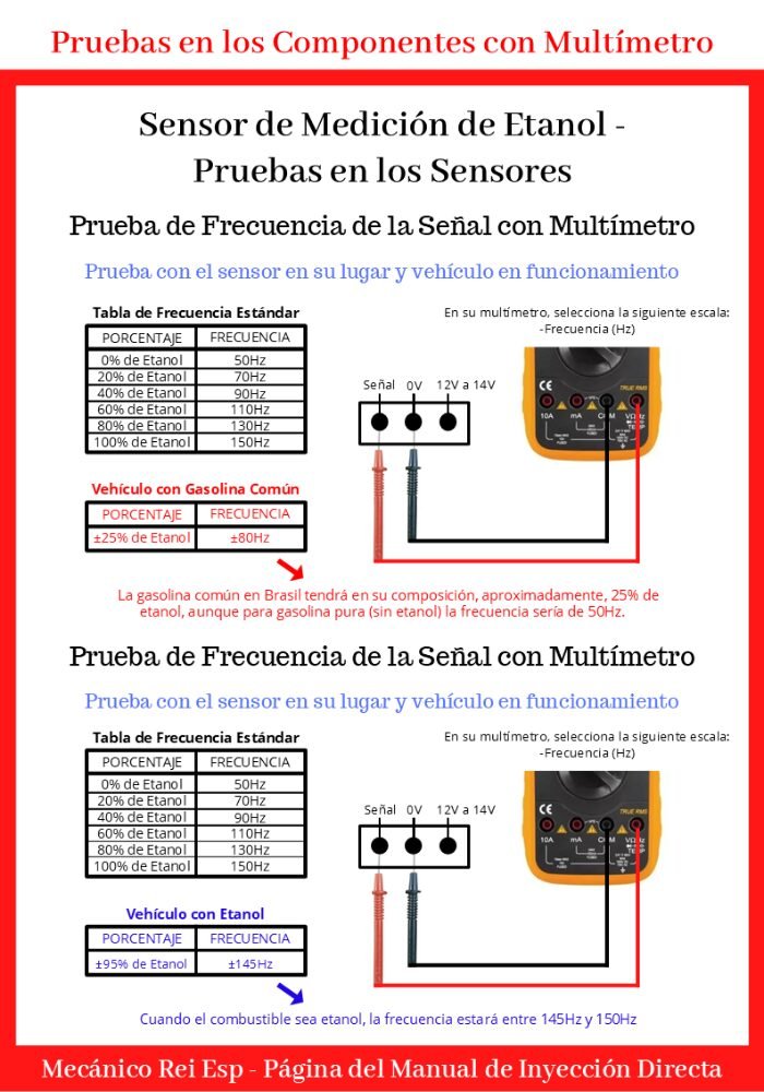 Imagem-7-site- MP2 (ESP) (700x1000)
